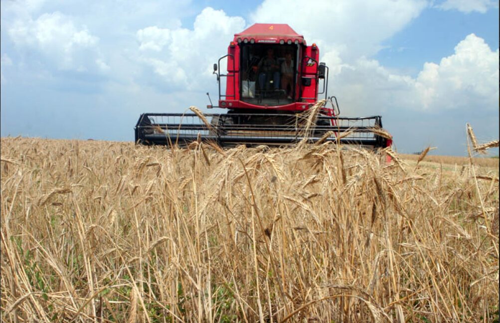 Rezultatele campaniei de recoltare şi seceriş au fost discutate la Ministerul Agriculturii