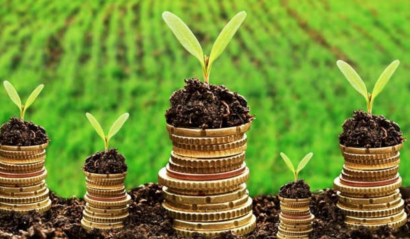 Ministerul Agriculturii a lansat un nou apel pentru granturi post-investiționale destinate managementului durabil al terenurilor