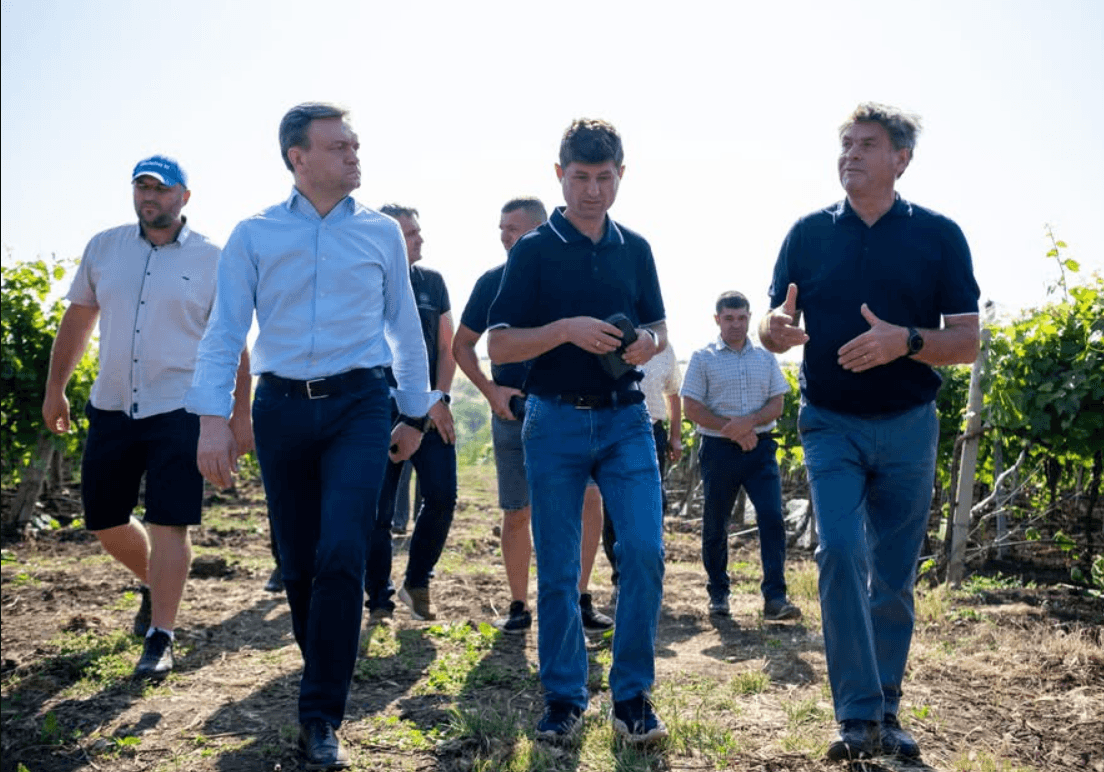 Dorin Recean a vizitat plantațiile familiei Mihov, din satul Burlacu, raionul Cahul, care crește cele mai mari exemplare de struguri de masă din țară