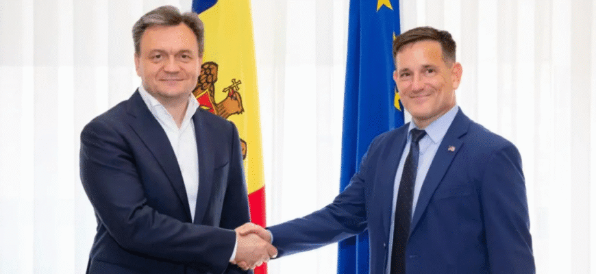 intrevedere cu nick pietrowicz