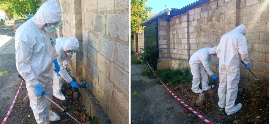 radiatie in sectorul riscani