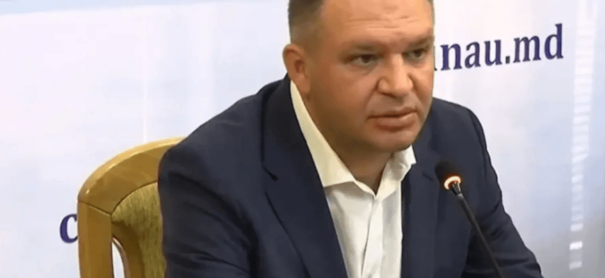 ion ceban